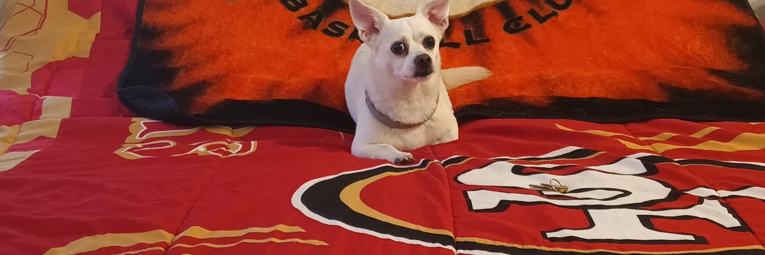 I 🧡REALITY 📺 banner