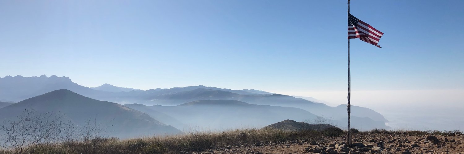 Aviva Williams banner