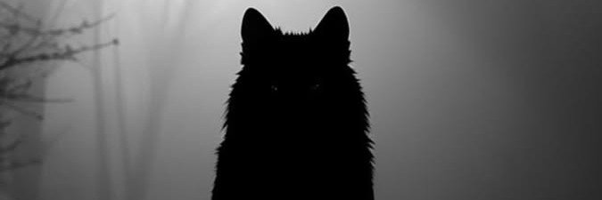 mohammad_sobuj_'s profile banner image