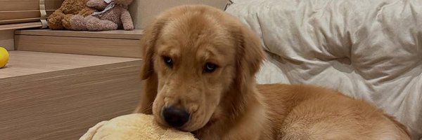 twixtpp Profile Banner