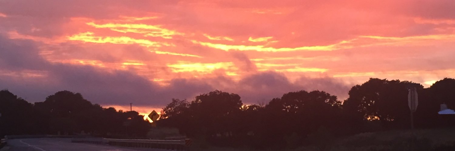 Brendan Steinhauser banner