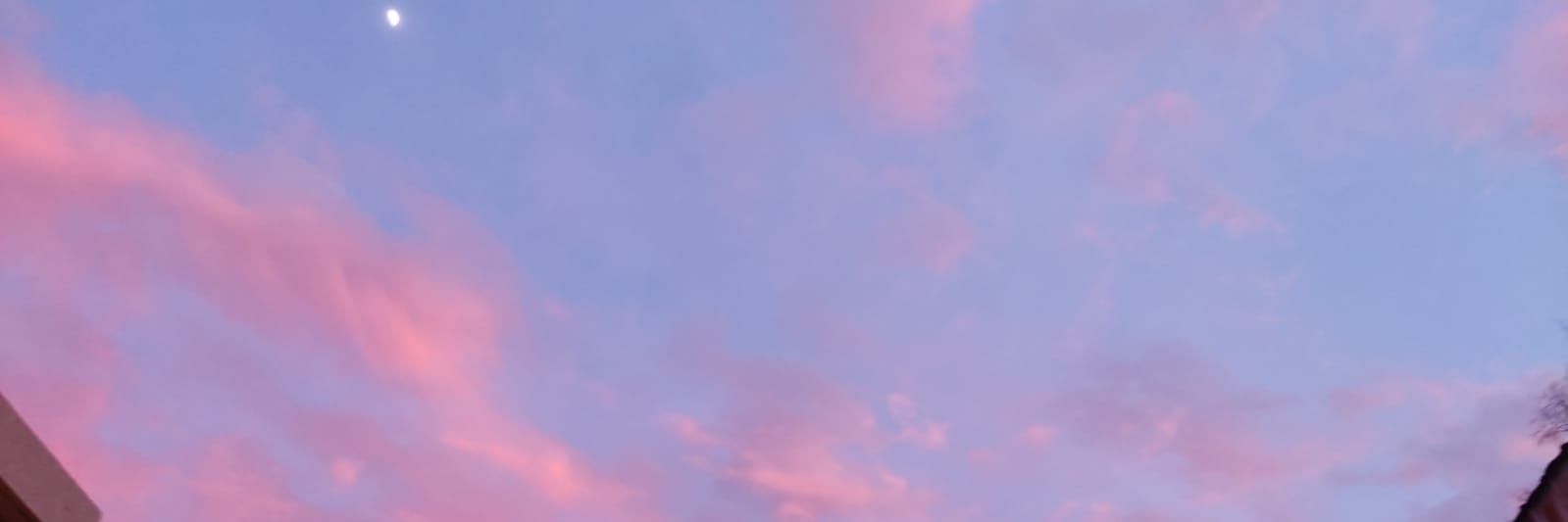 patymcelis's profile banner image