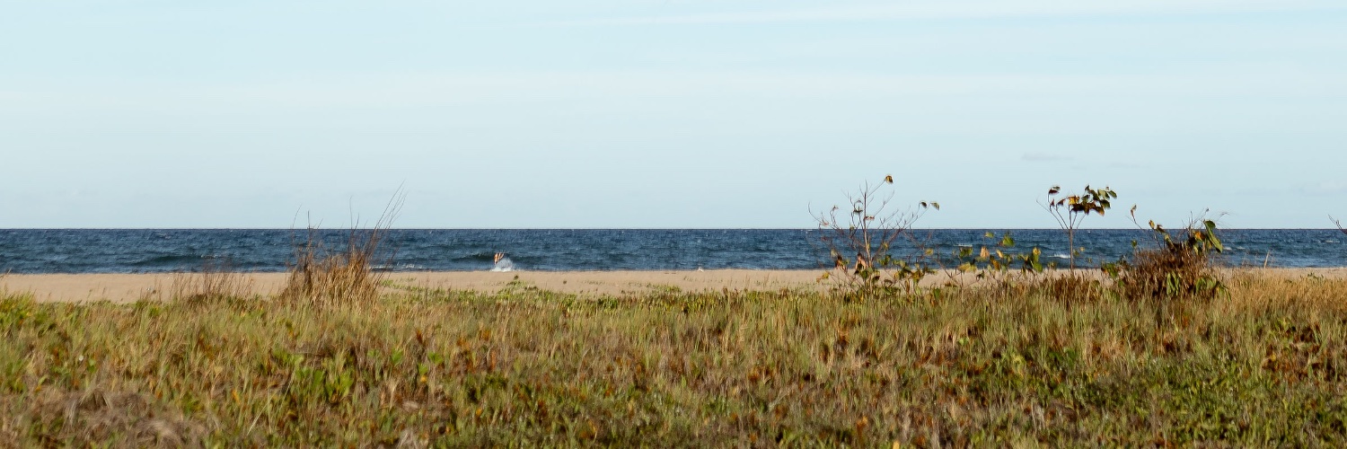 Antonio_Goldmann banner