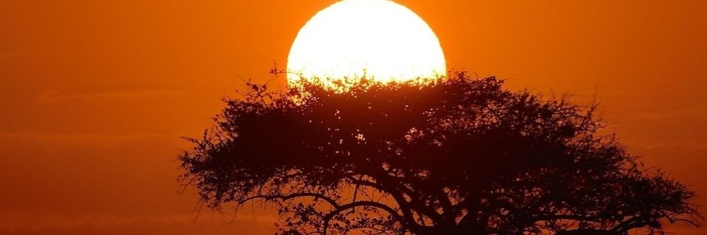SamadBhuyan_'s profile banner image