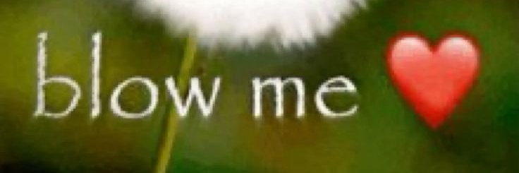 Some1GoonerAlt's profile banner image