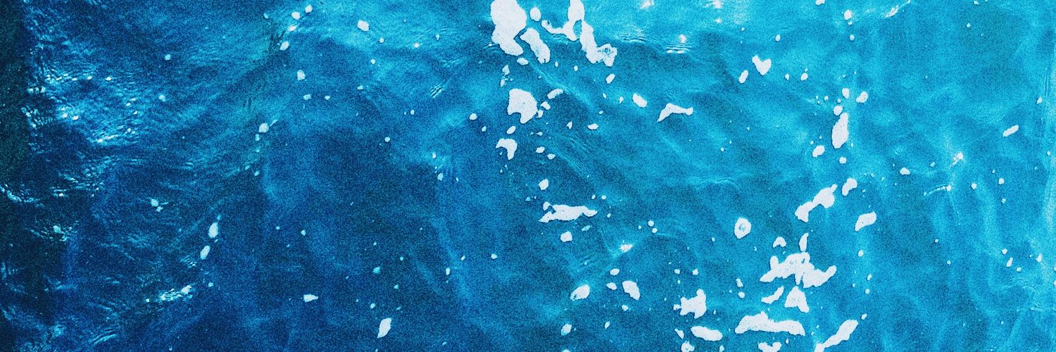 Blue Boy banner