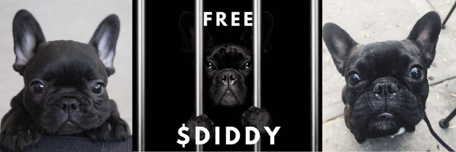 Diddy The Dog banner