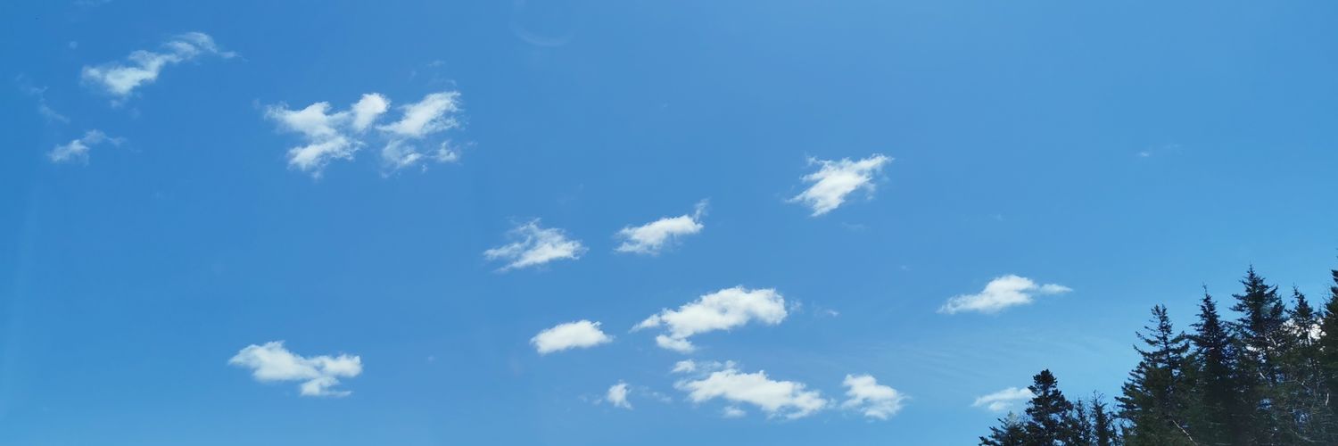 CeciliaKSL's profile banner image