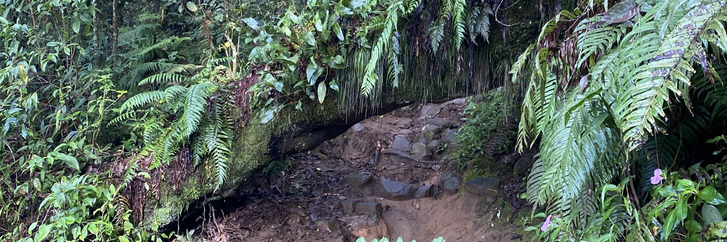 ⎯ ˚adele⋆.ᐟ banner