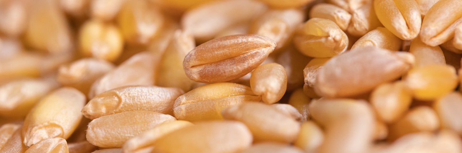 Adriano Farano banner