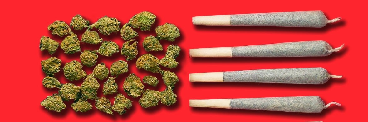 Project Champion banner