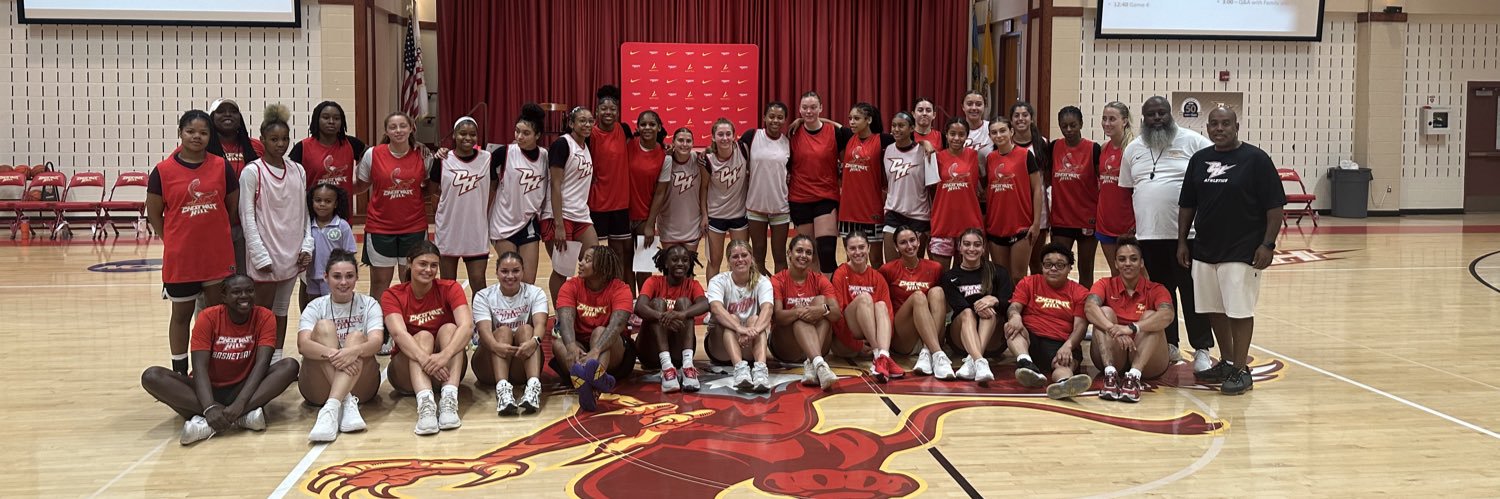 Chestnut Hill College Griffins WBB banner