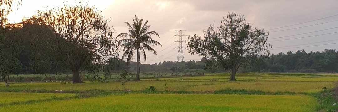 Fahpro banner
