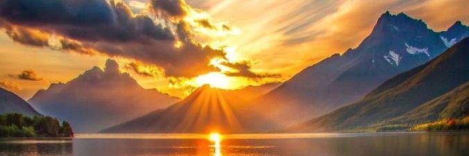 Nature Explorer's banner