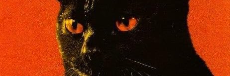 blackkatmacabre's profile banner image