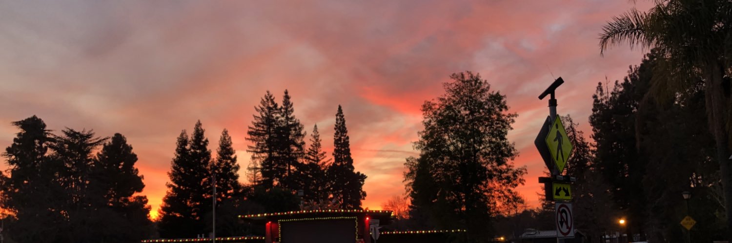 Jose Arocha-Saher banner