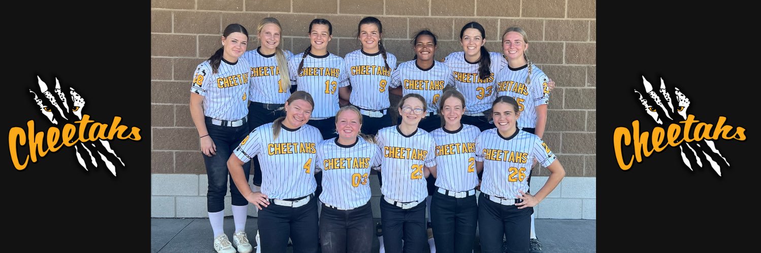 Eastern Iowa Cheetahs banner