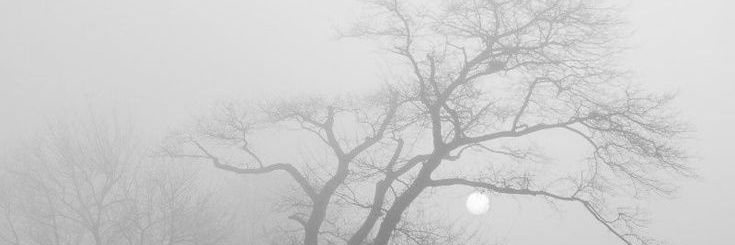 джи banner
