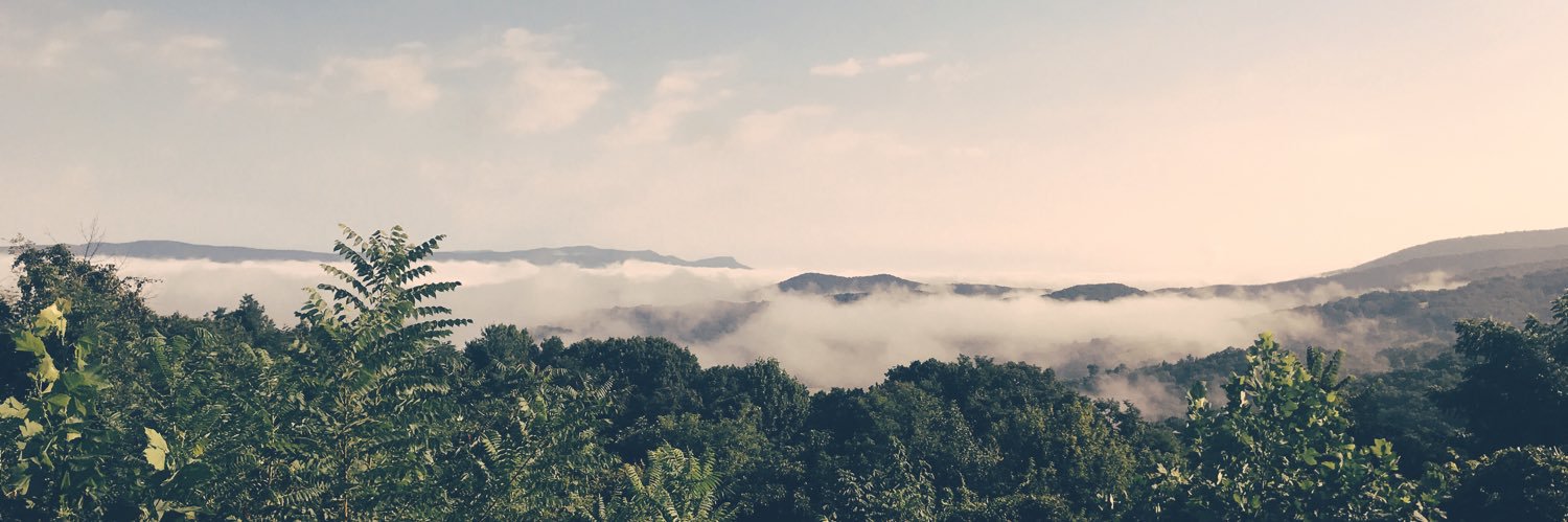 kate ☕️✨🍉 banner