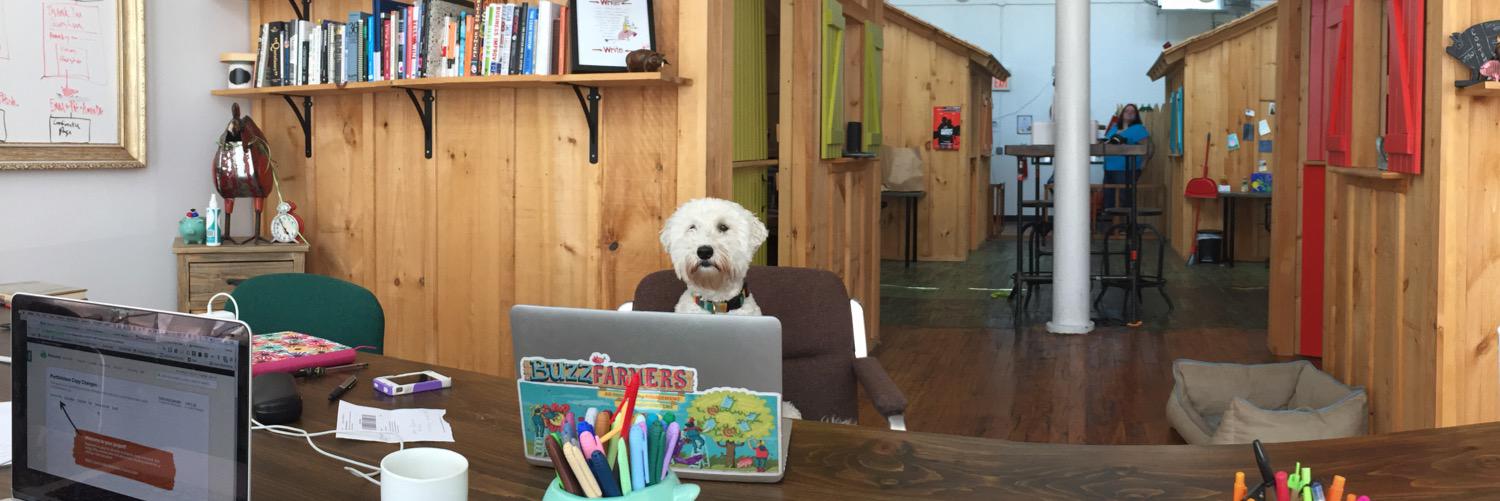 NapatheDog's profile banner image