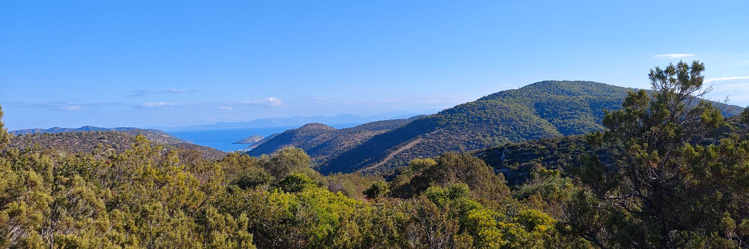 DimitriLupo's profile banner image