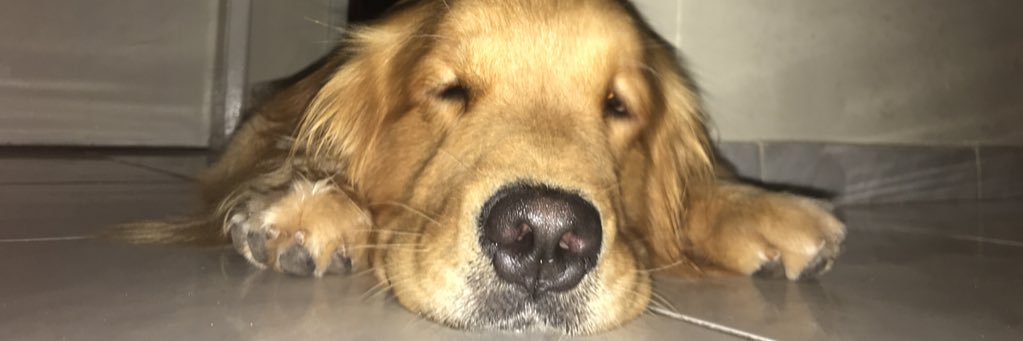 lopesjoel10's profile banner image