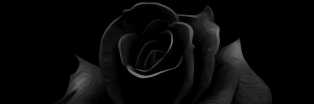 cholidy02's profile banner image