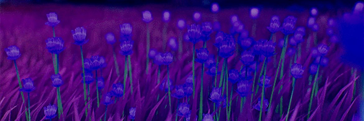 Jinx 🔮 banner