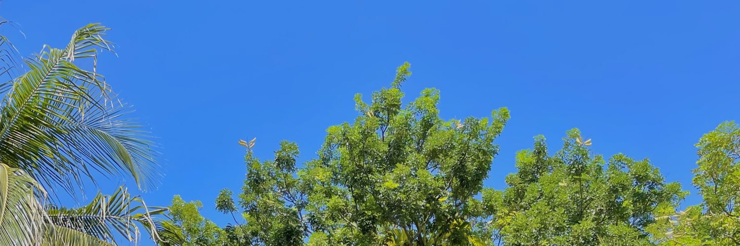 oleopa's profile banner image