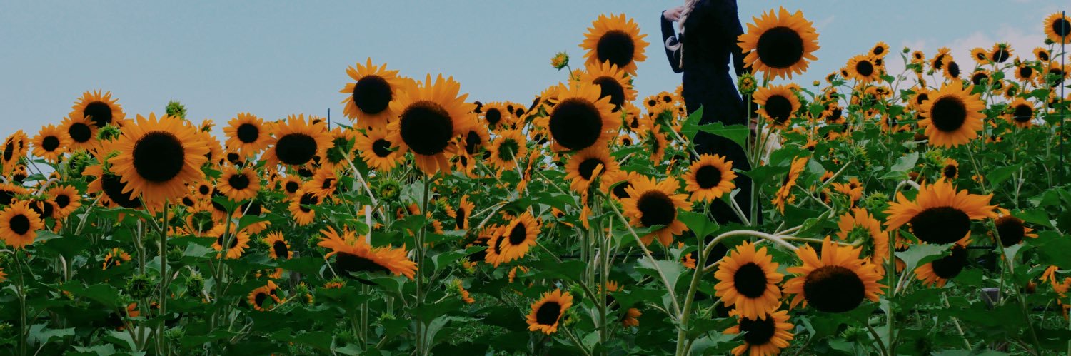 あさ's banner