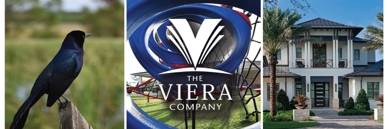 TheVieraCo's profile banner image
