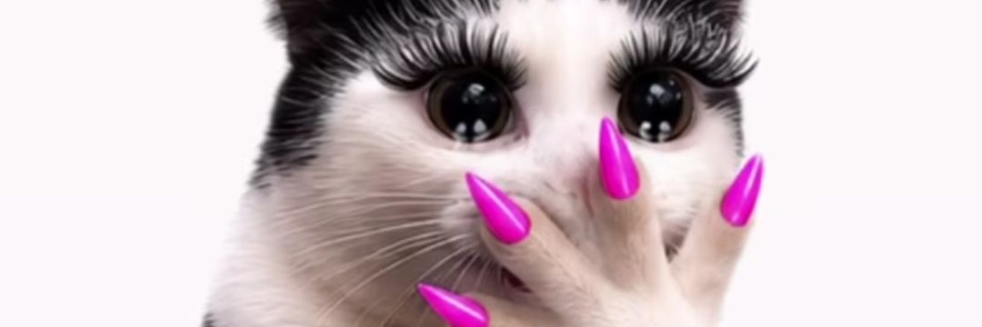 VeerTheRobo's profile banner image