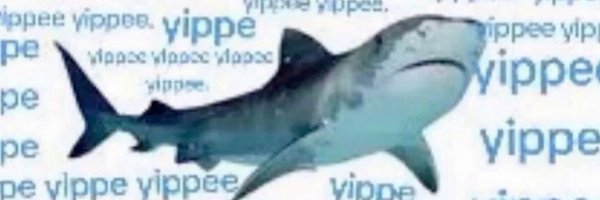 asteri05s Profile Banner