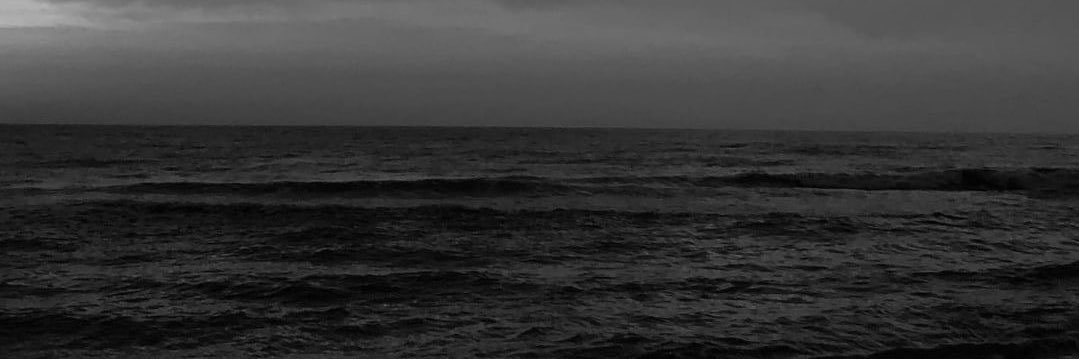 жася banner