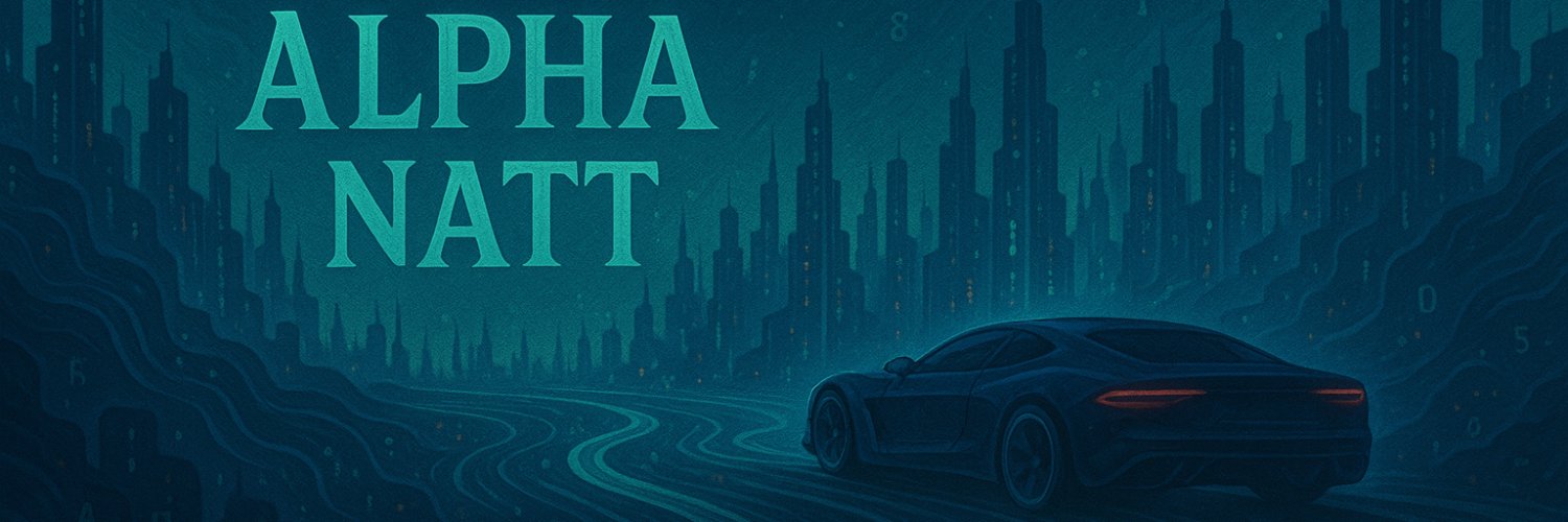 Alpha Natt banner