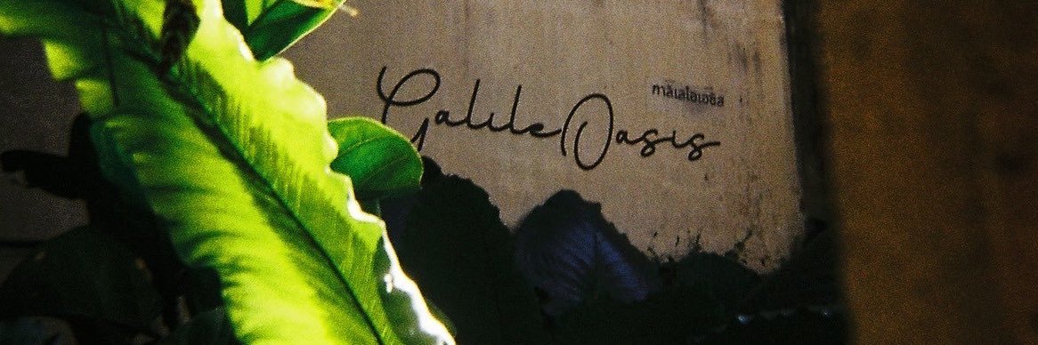 GalileOasis banner