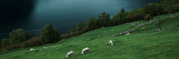 aditijain1144 Profile Banner