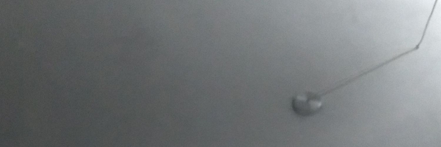 Mario_Piccini's profile banner image