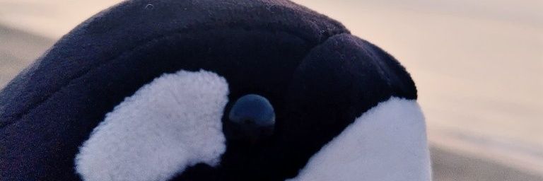 🐑 banner