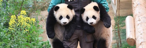 rtsubbi Profile Banner