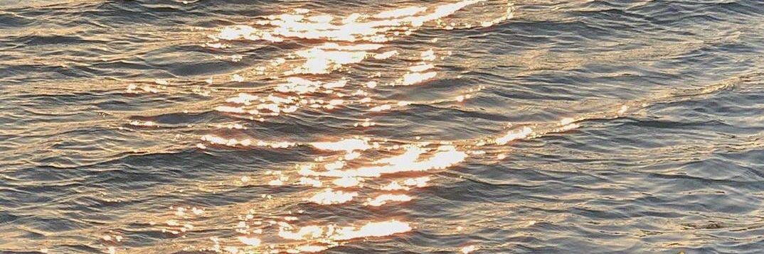 شاید هَنا🫐 banner