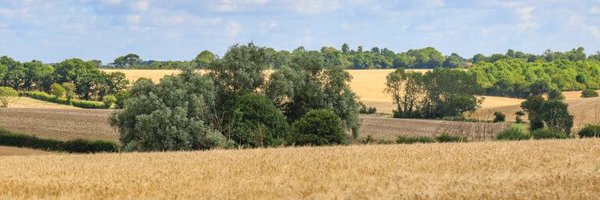 KevinCraigUK Profile Banner