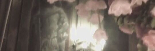 ew banner