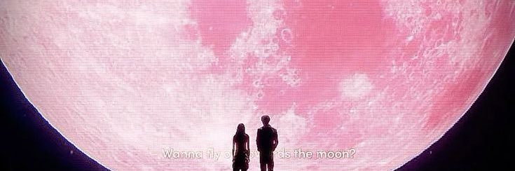 نیکـ𐙚. banner