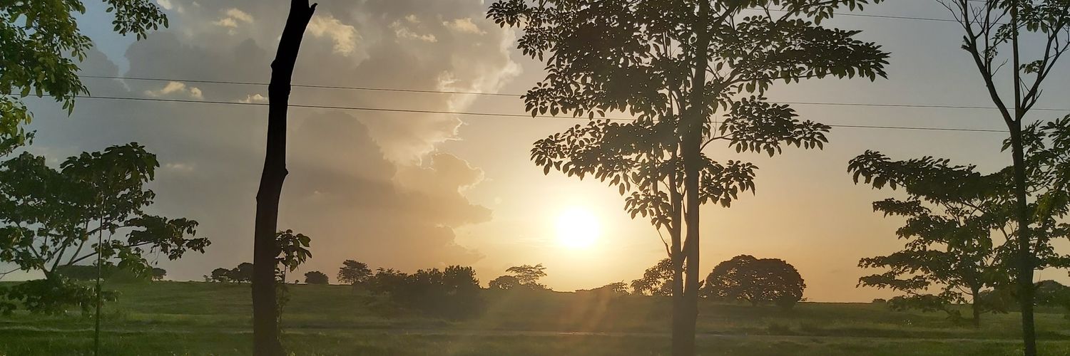 ANDREA BUSTAMANTE banner