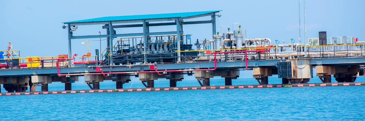 Lake_Victoria_Logistics banner