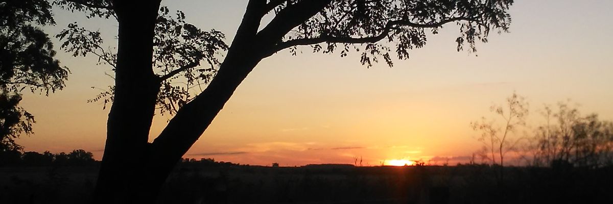 Fernanddav_'s profile banner image