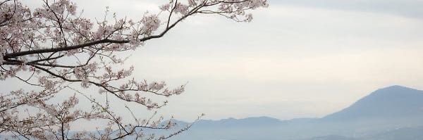 яну ля banner