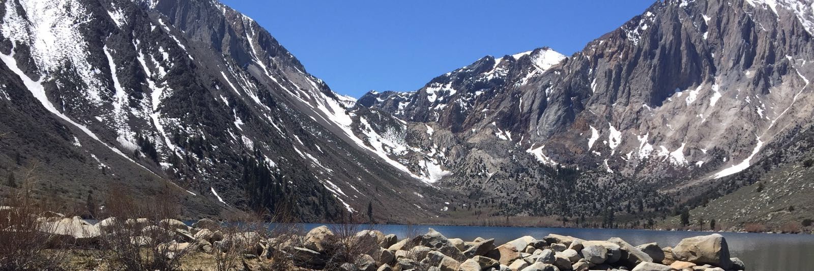 Rajesh Dwivedi banner