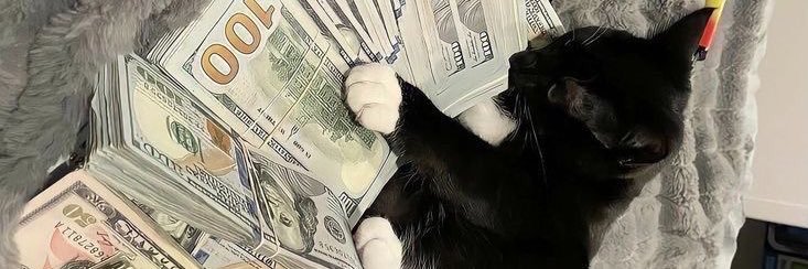 takinmoolah's profile banner image